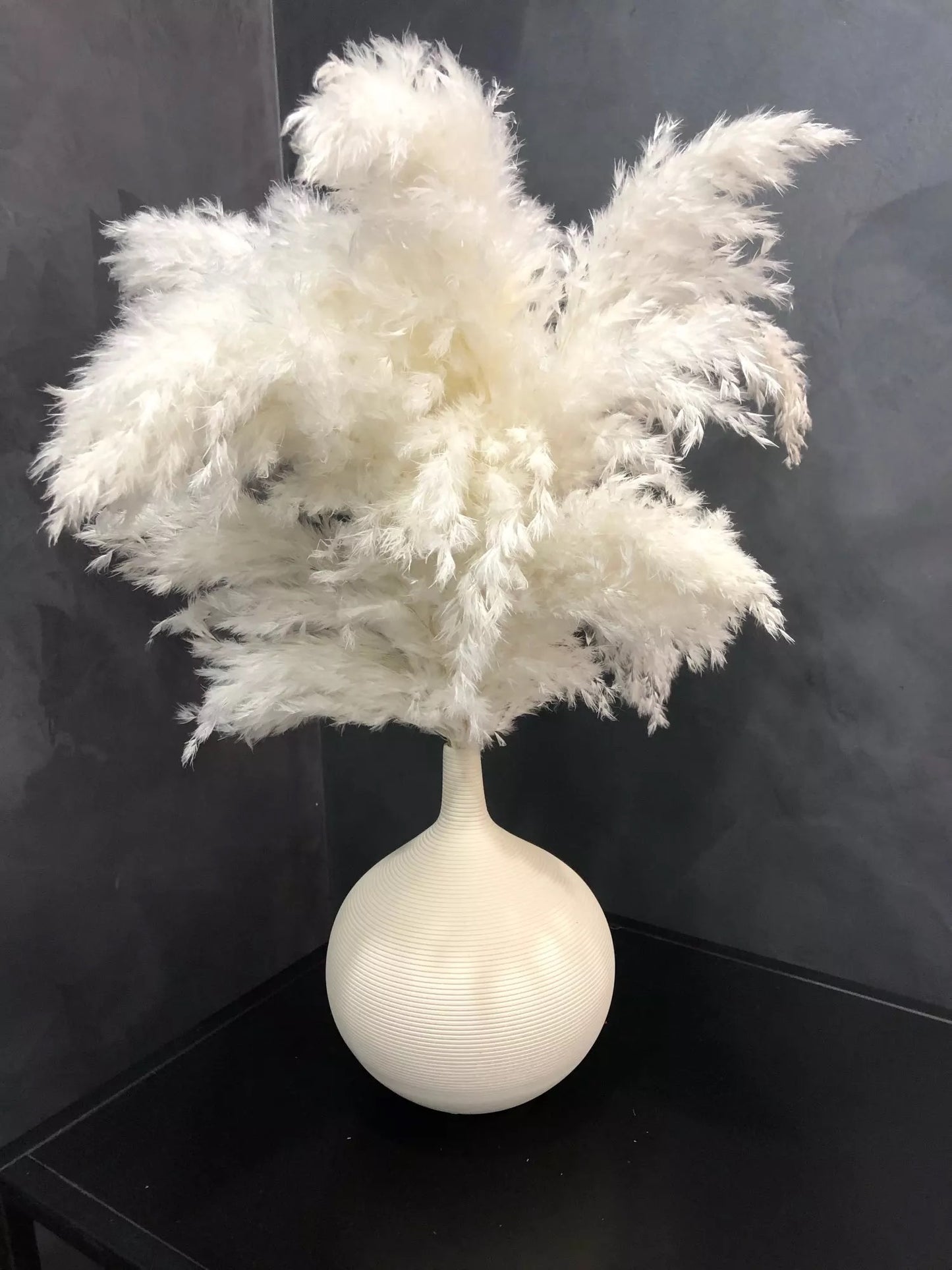 Pompous Pampas-Grass Dried
