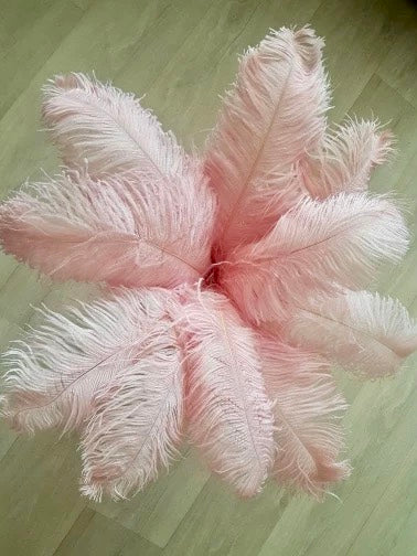 Leather Pink Ostrich Feathers