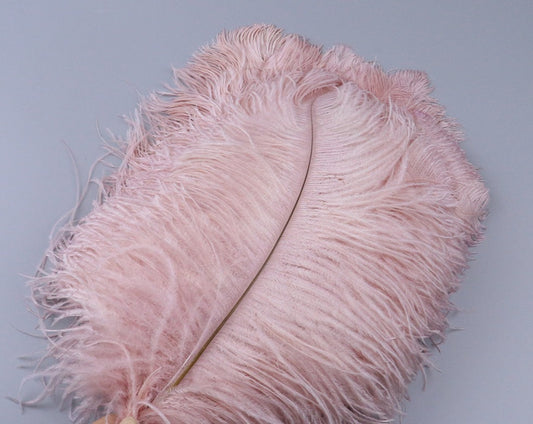 Leather Pink Ostrich Feathers